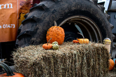 View of pumpkins in market