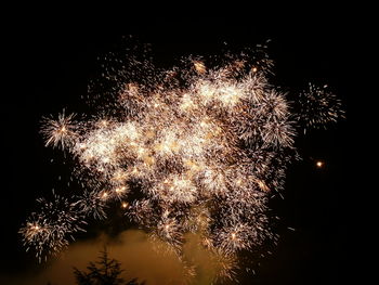 Low angle view of firework display at night