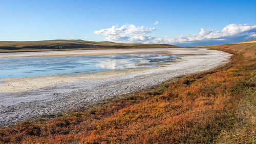 Scenic view of beach against sky