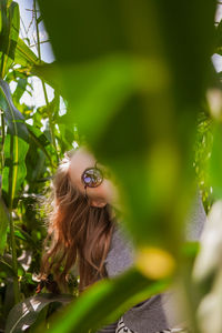 Beautiful young woman in a corn field