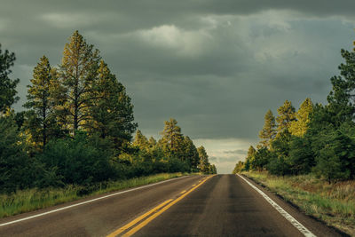 Road amidst trees against sky