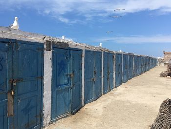 Seagull on wall against blue sky