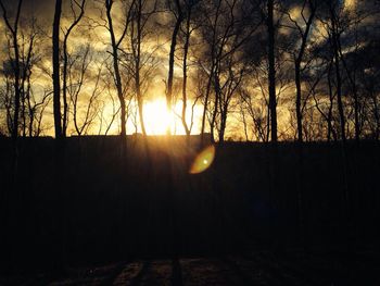 Silhouette of trees at sunset