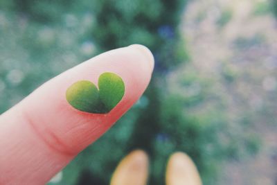 Close-up of hand holding leaf