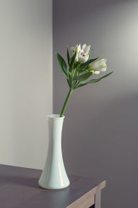 Close-up of white flower vase on table