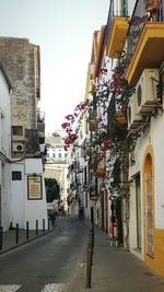 Narrow street along buildings