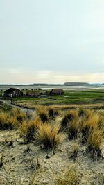 Scenic view of beach against clear sky