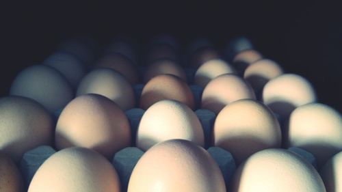 Close-up of eggs