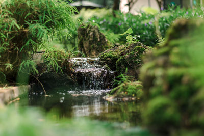 Surface level of water flowing through rocks