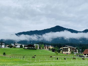 Houses on field against sky