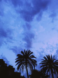 Low angle view of silhouette palm trees against sky