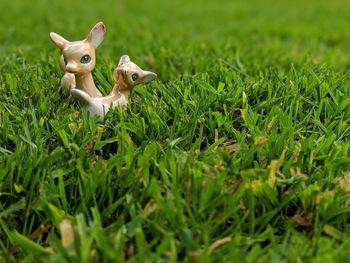 View of stuffed toy on field