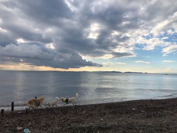 View of sea against the sky