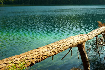 High angle view of swimming pool by lake