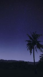 Low angle view of silhouette palm trees against sky at night