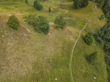 High angle view of land