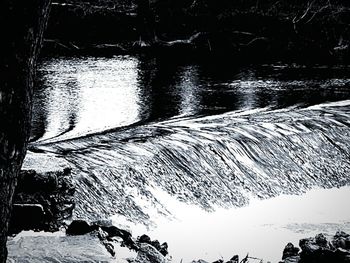 Reflection of trees in water