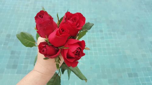 Close-up of hand holding red rose