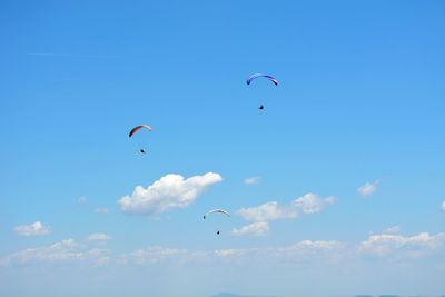 Low angle view of person paragliding against sky