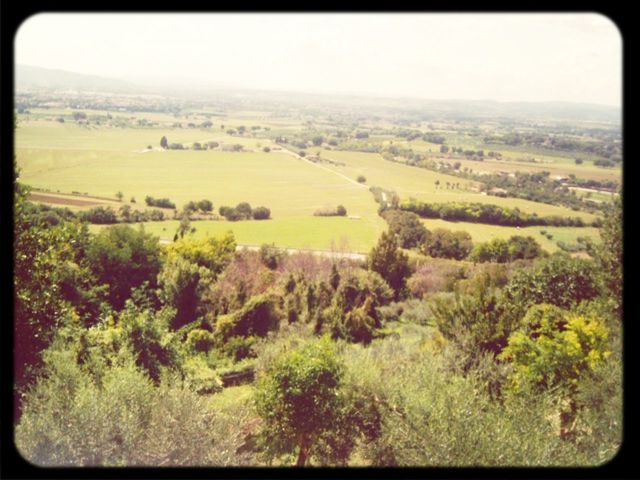 landscape, transfer print, rural scene, agriculture, field, tranquil scene, tree, tranquility, scenics, auto post production filter, farm, growth, nature, beauty in nature, high angle view, green color, cultivated land, horizon over land, hill, sky