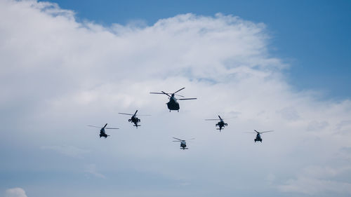 Low angle view of birds flying in sky