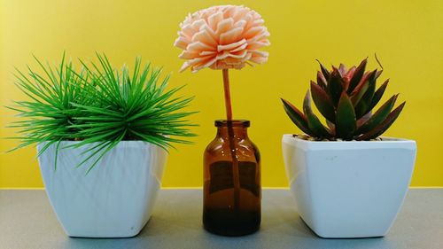 Artificial flower in bottle amidst potted plants on table against yellow wall