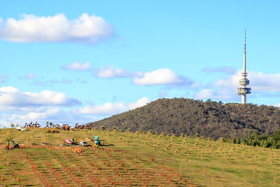 Cows on field against cloudy sky