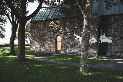 Trees growing outside building