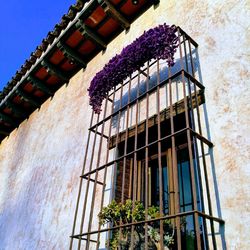 Low angle view of window