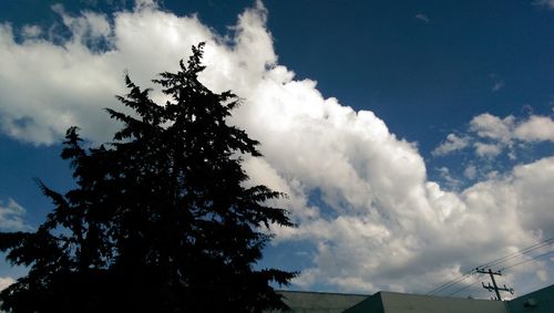 Low angle view of trees against cloudy sky