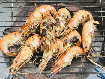 Grilled shrimp photo