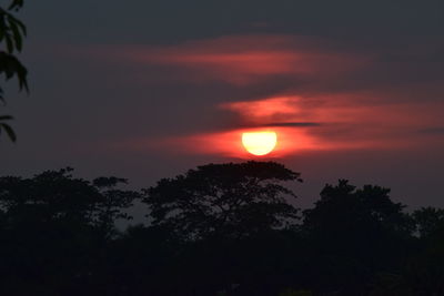 Silhouette trees against sky during sunset