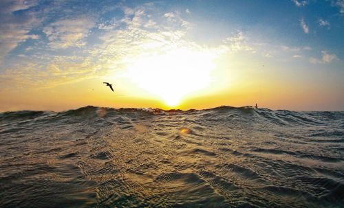 Bird flying over seascape during sunset