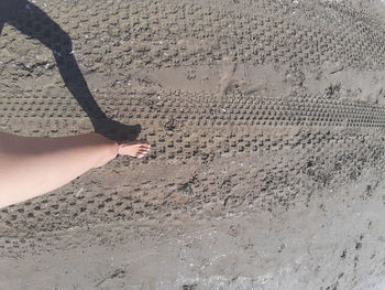 Low section of person standing on beach