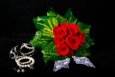 Close-up of roses against black background