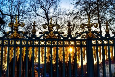 Low angle view of bare trees against sky