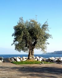 Scenic view of calm sea against clear blue sky