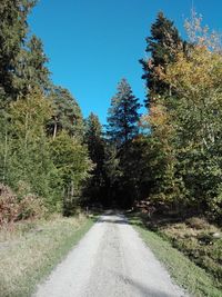 Road amidst trees in forest against clear blue sky