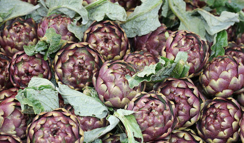 Artichokes ready to be sold in a fruit and vegetable market