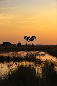 Silhouette plants by lake against sky during sunset