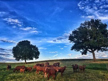 Horses on field against sky