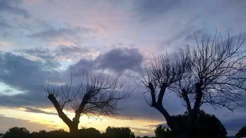 Low angle view of silhouette trees against dramatic sky
