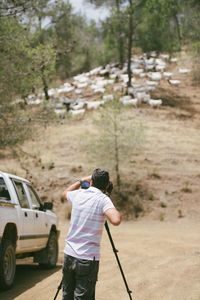 Rear view of man standing on tree