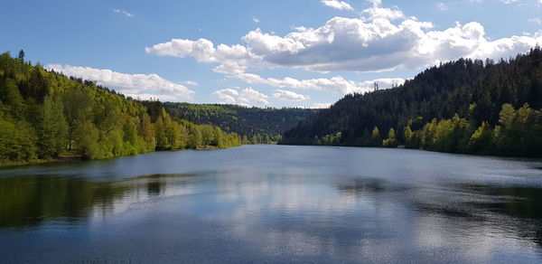 Scenic view of lake by trees against sky