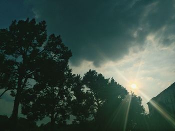 Low angle view of trees against sky