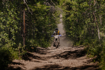 Rear view of man riding bicycle in forest