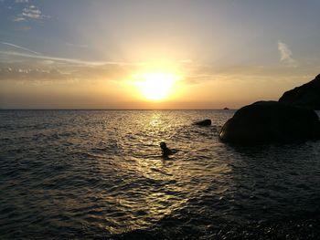 Silhouette birds on beach against sky during sunset