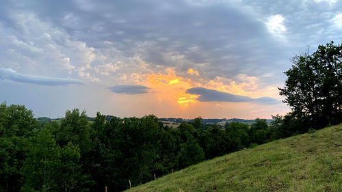 Scenic view of trees against sky during sunset