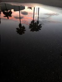 Silhouette trees against sky at sunset