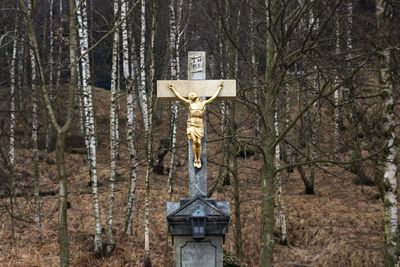 View of cross in cemetery